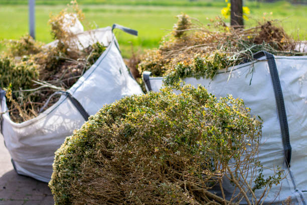  Mila Doce, TX Junk Removal Services Pros